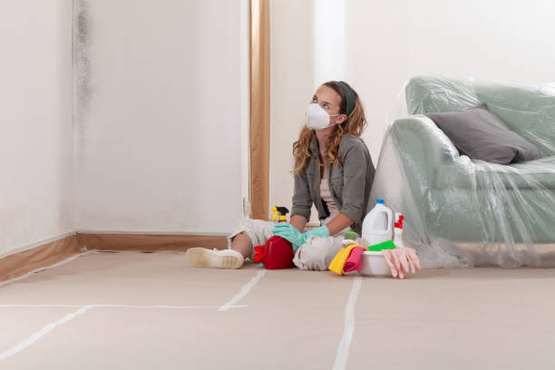 Reliable Mold Testing contractor in Blue Point, NY by WQB Mold Removal